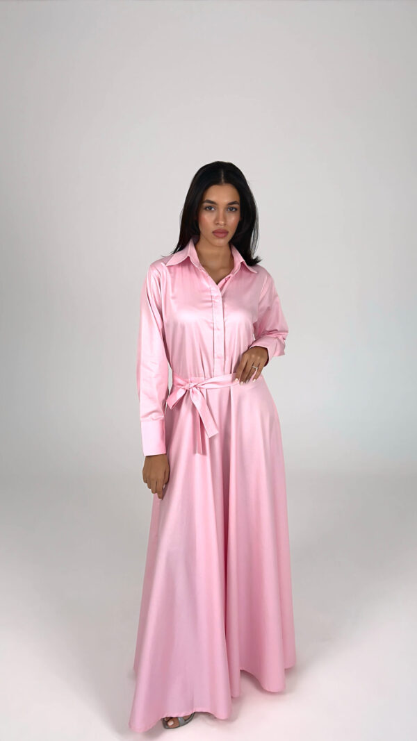Blush Maxi Dress - Image 1