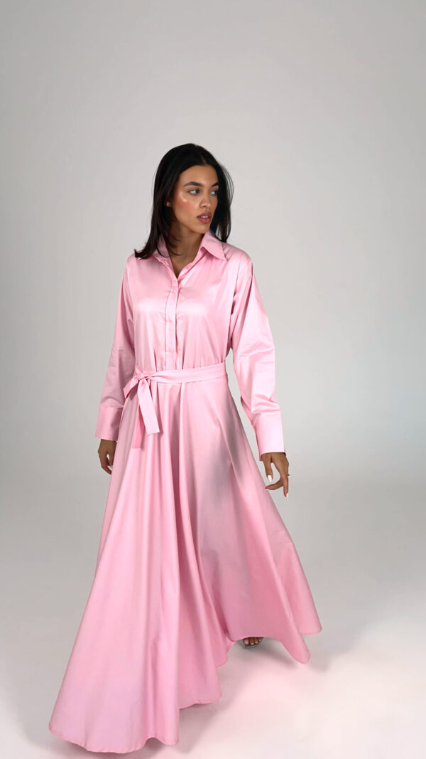 Blush Maxi Dress - Image 3