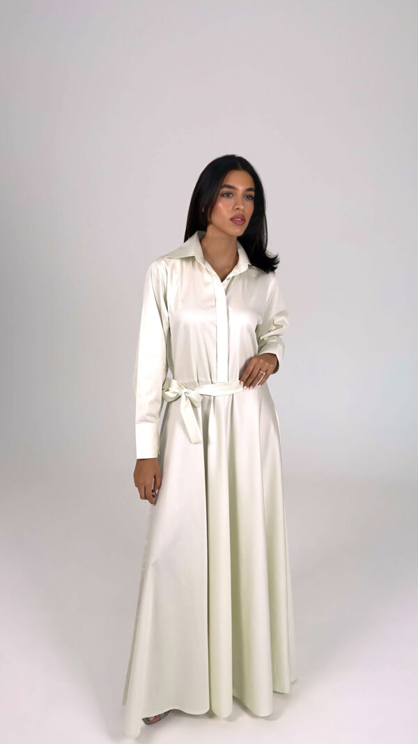 Light Lime Maxi Dress - Image 1